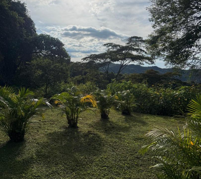 Photo of Others in La Vega