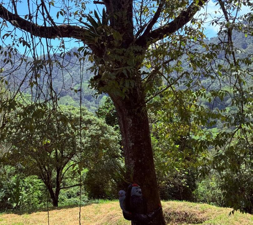 Photo of Others in La Vega