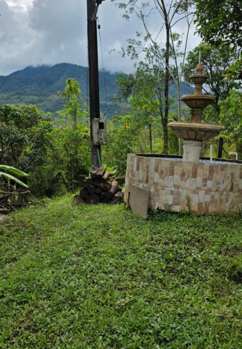 Photo of Others in Acacias