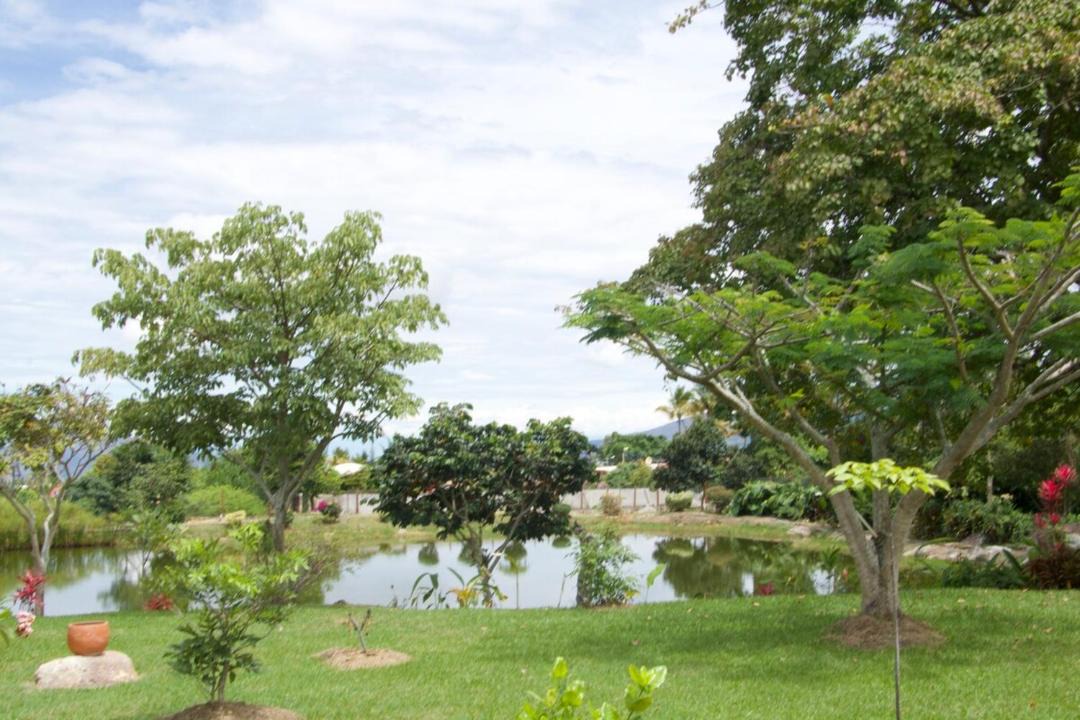 Photo of Others in Chinauta