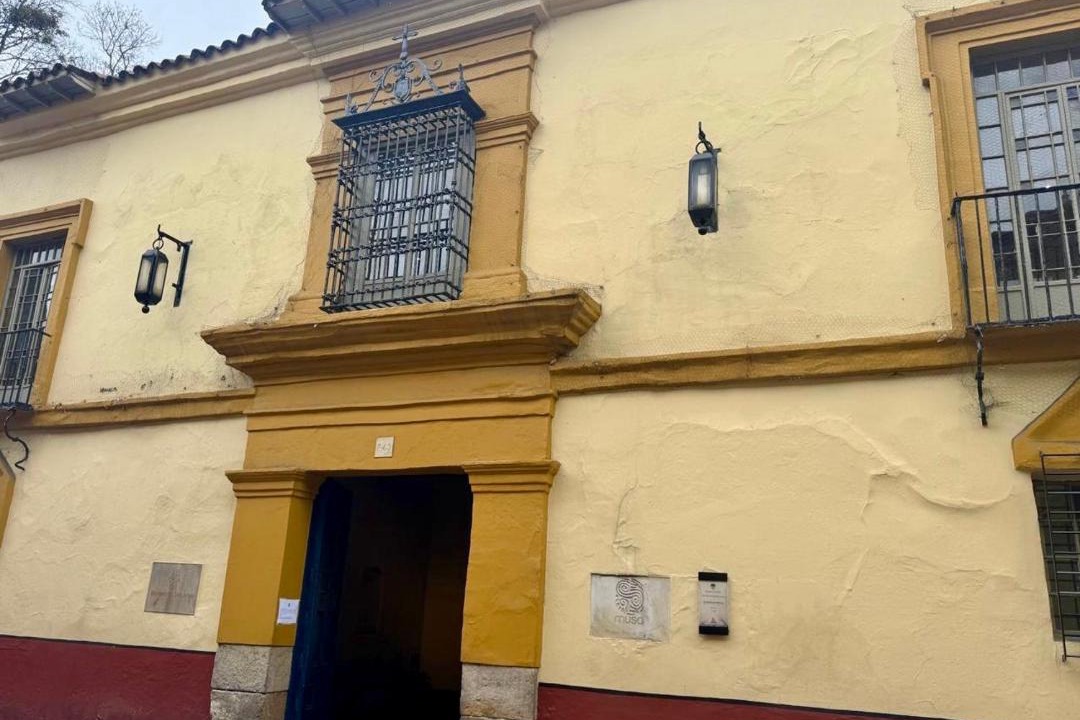 Photo of Others in La Candelaria
