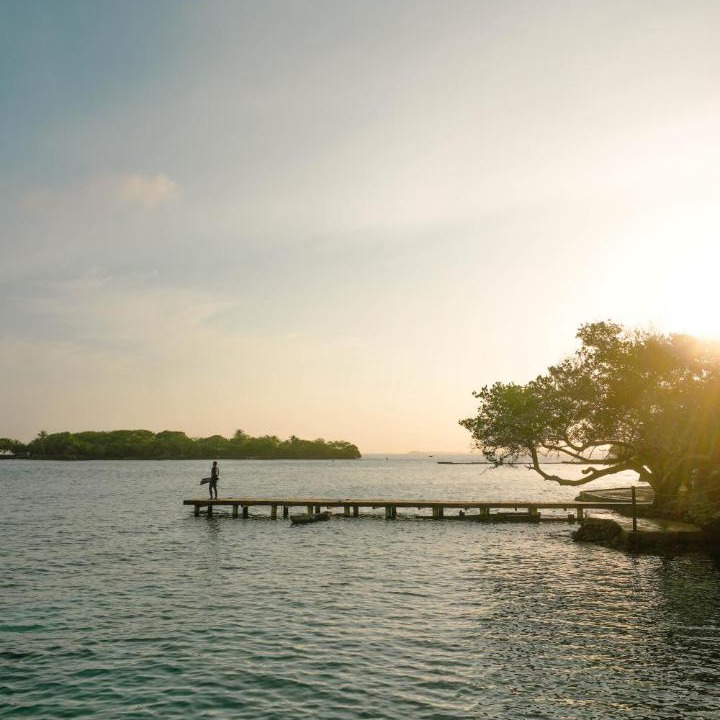 Photo of Others in Rosario Islands
