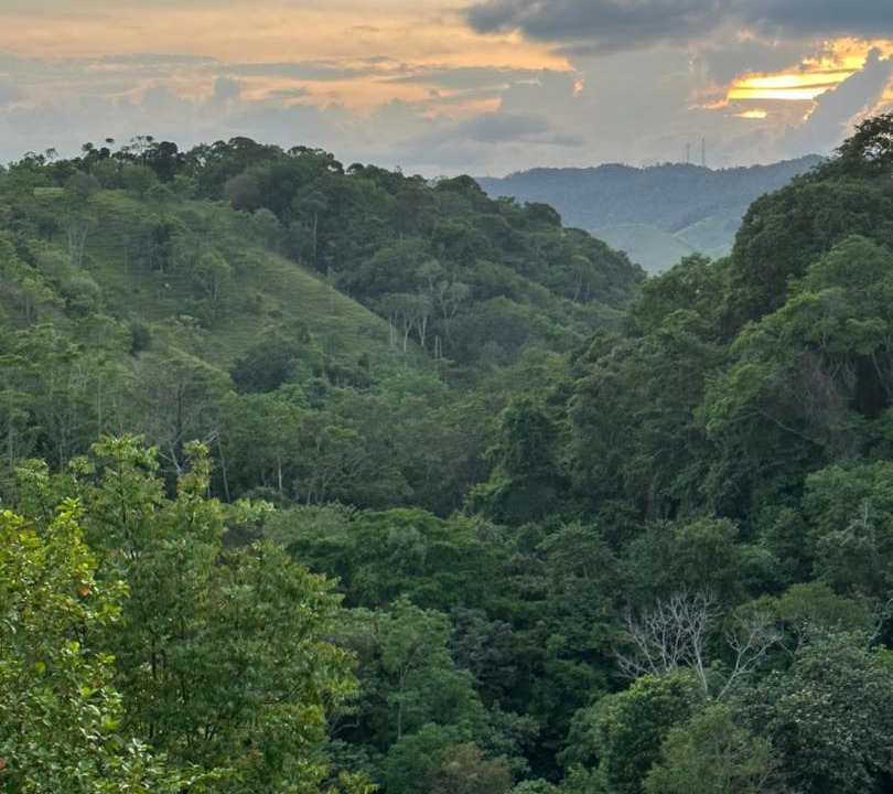 Photo of Others in Puerto Triunfo