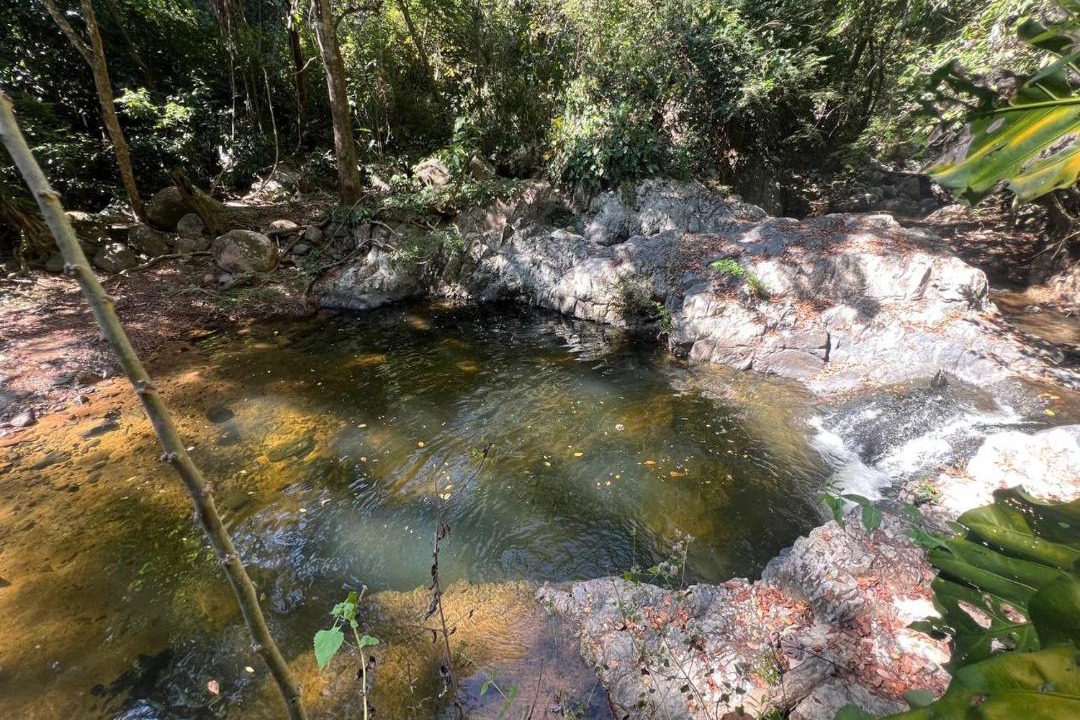 Photo of Others in Valledupar