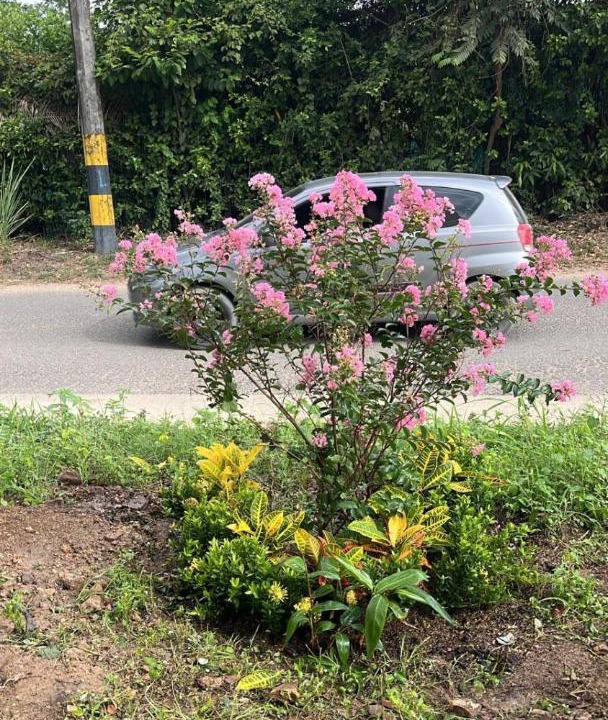 Photo of Outdoor in Melgar