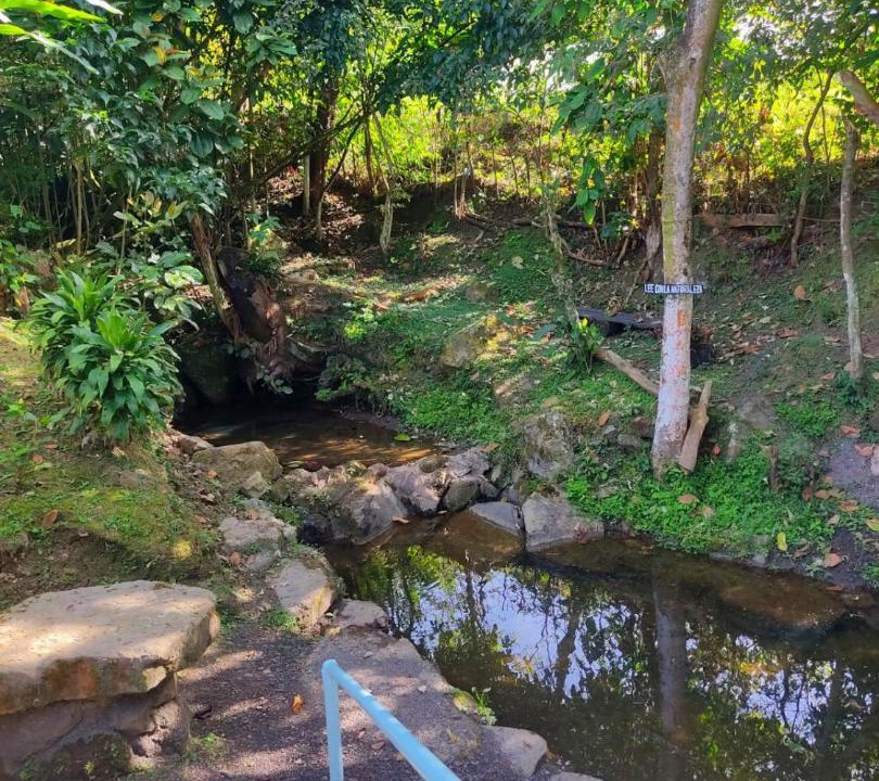 Photo of Outdoor in Tena