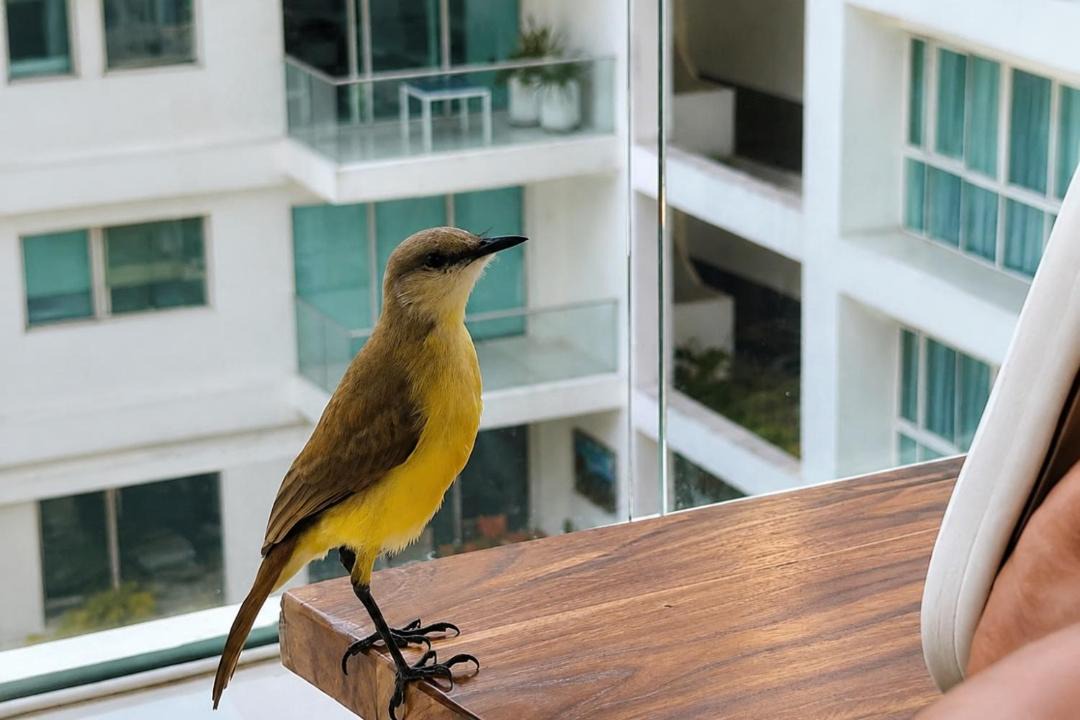 Photo of Others in La Boquilla