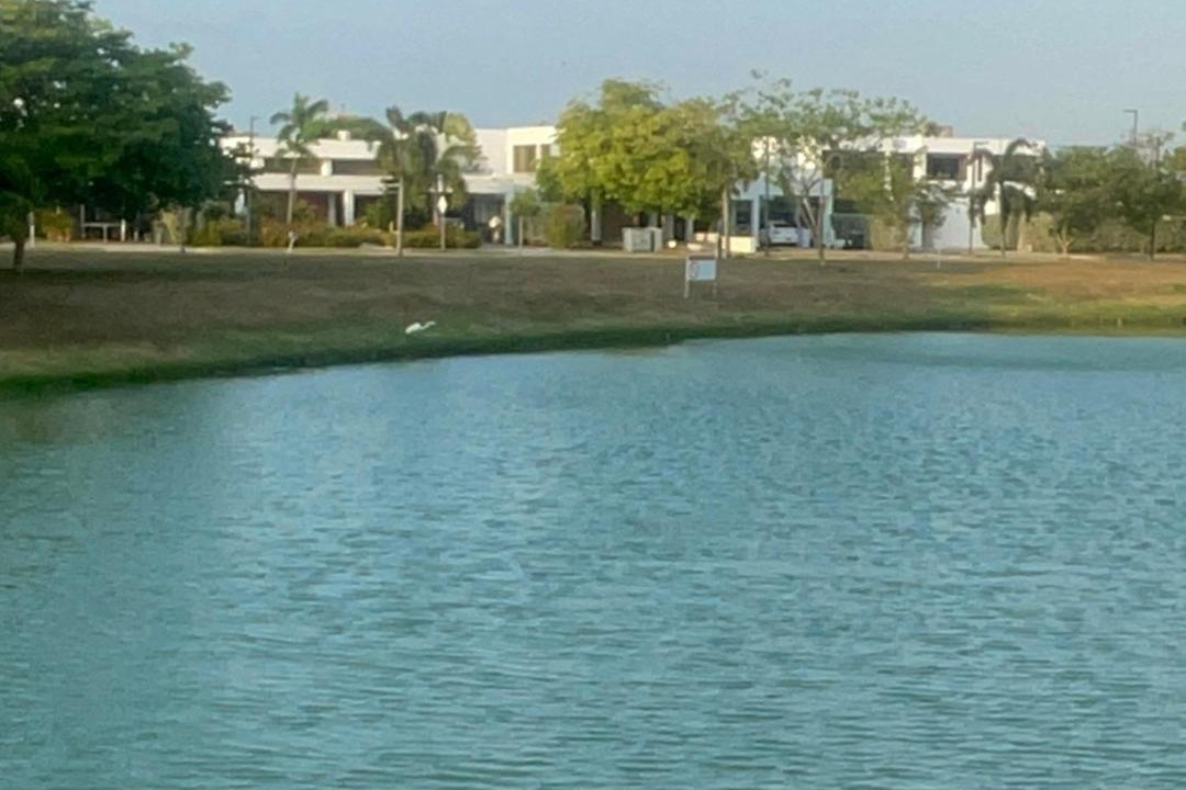 Photo of Others in Zona Norte