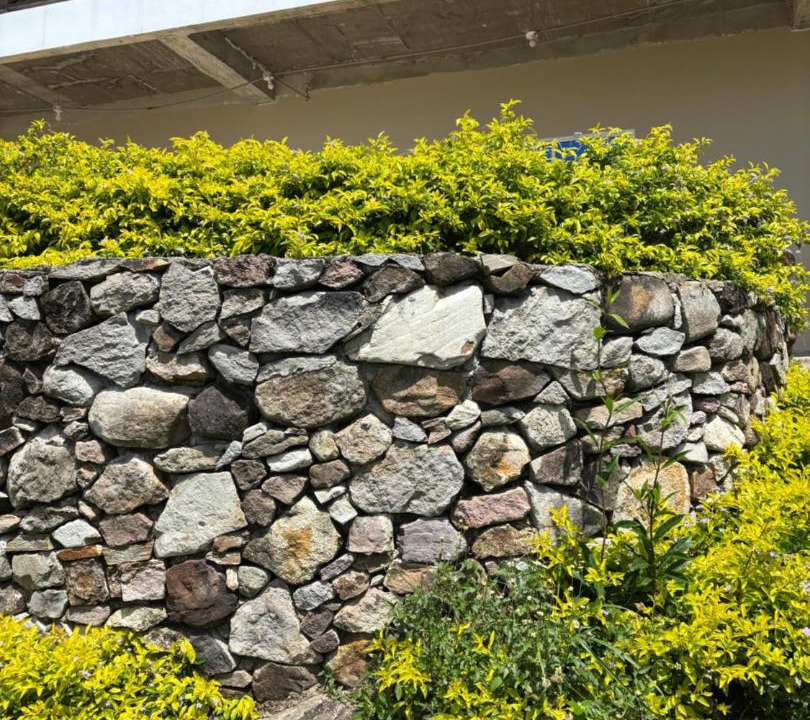 Photo of Others in Providencia