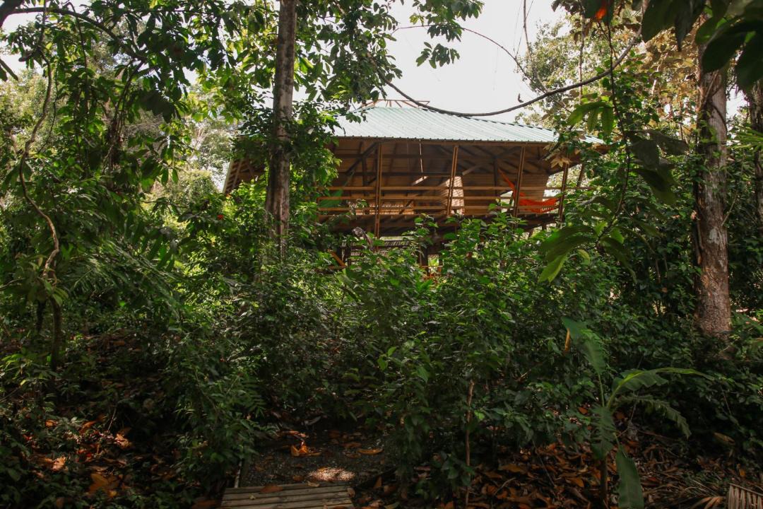 Photo of Others in Nuqui