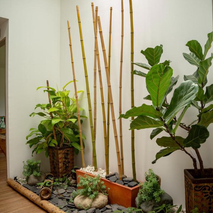 Photo of Others in Jardin