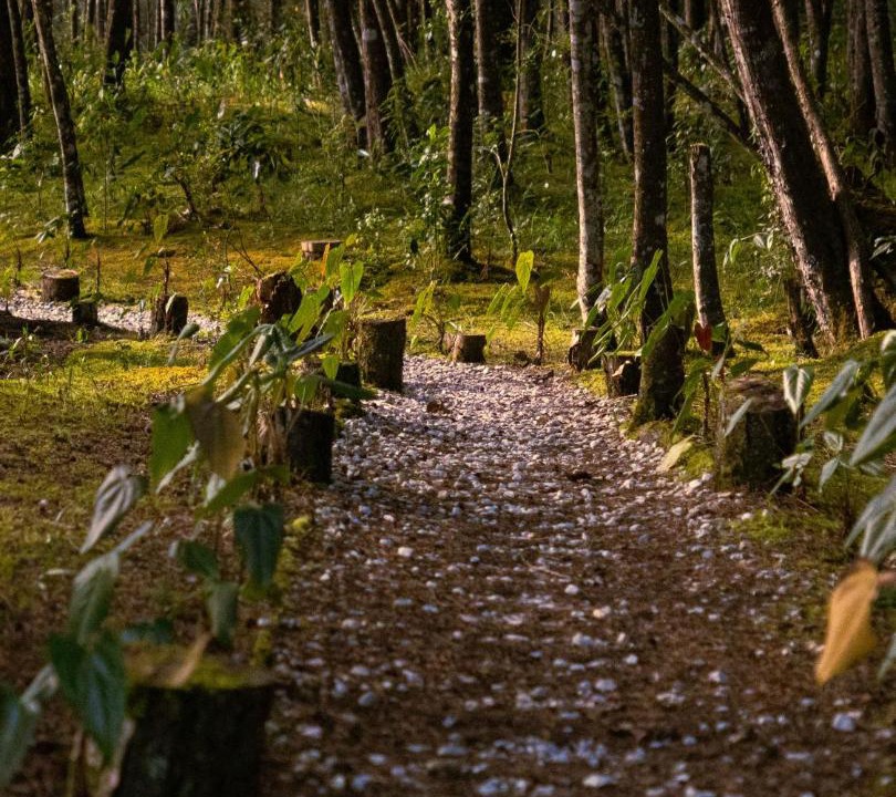 Photo of Others in Guarne