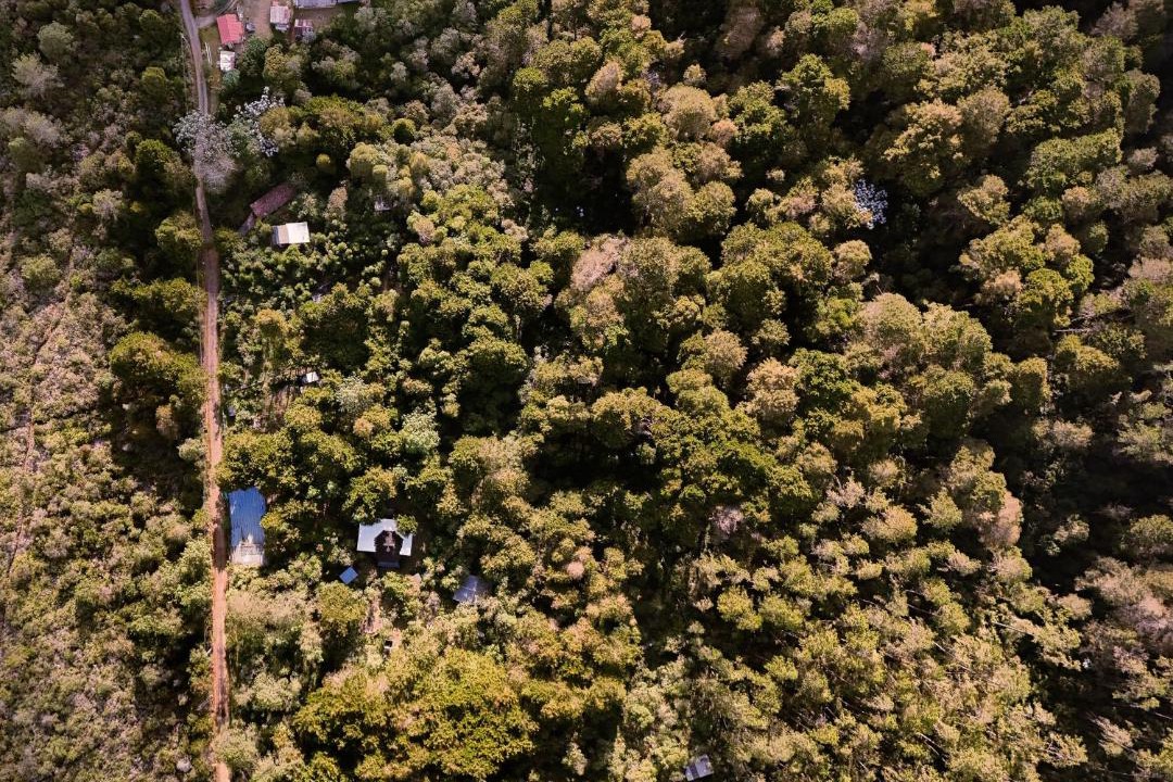 Photo of Others in Guarne
