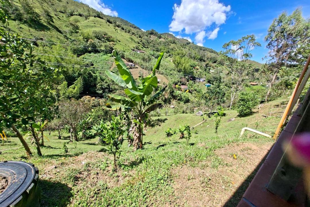Photo of Others in Concepcion