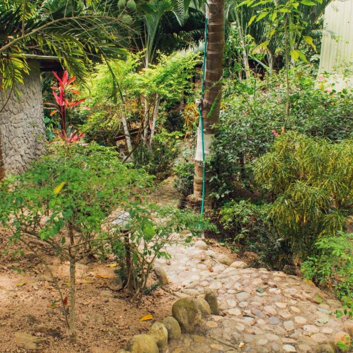 Photo of Others in Buritaca