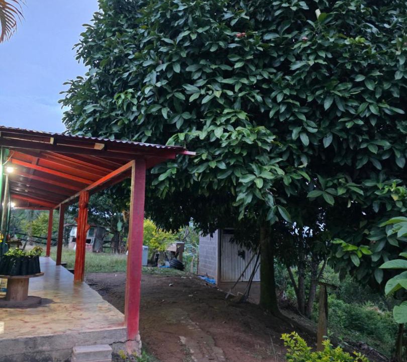 Photo of Outdoor in Yali