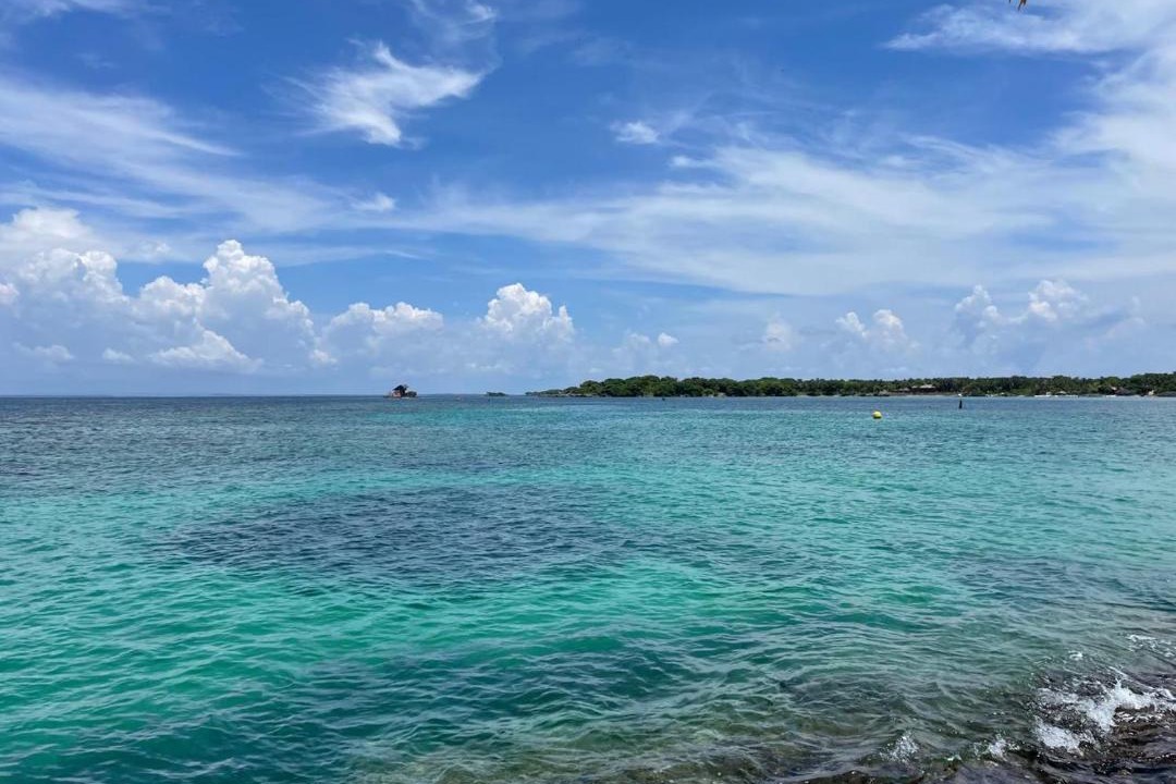 Photo of Others in Rosario Islands