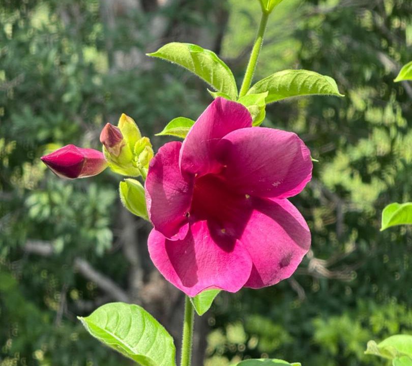 Photo of Outdoor in Agua de Dios