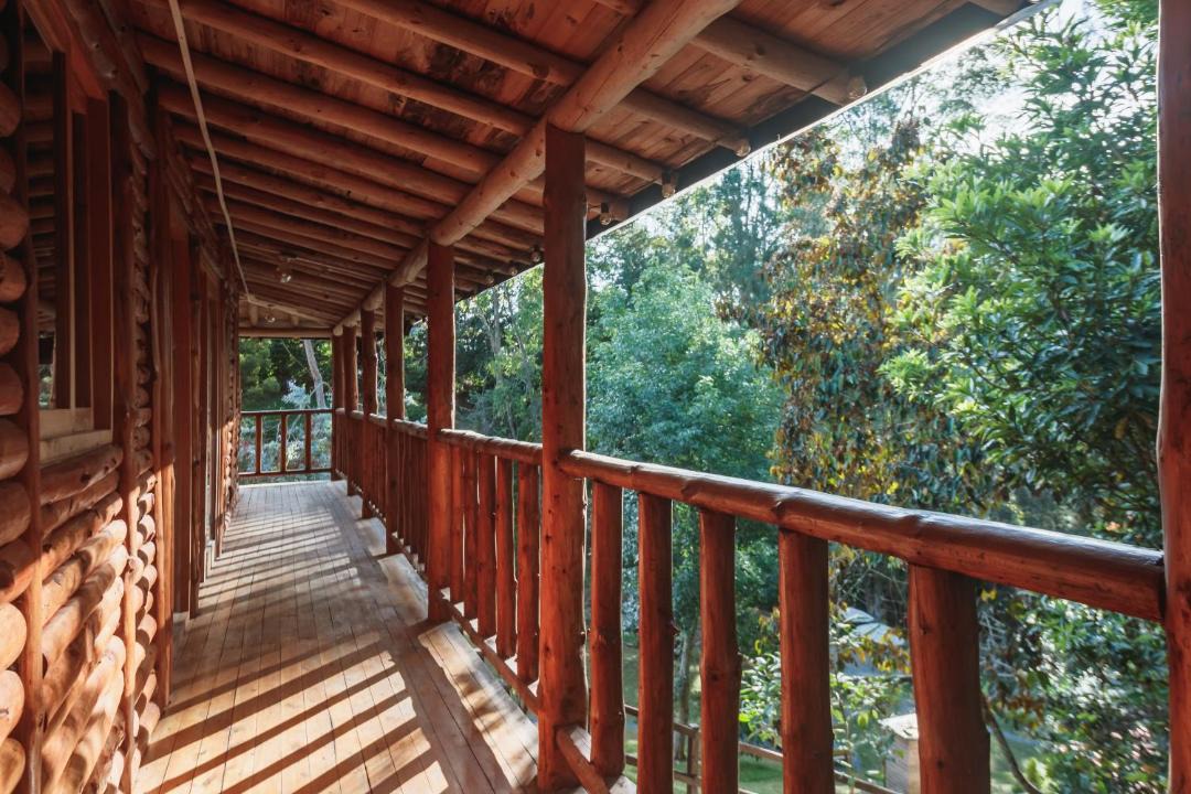 Photo of Patio Balcony in Los Nomos