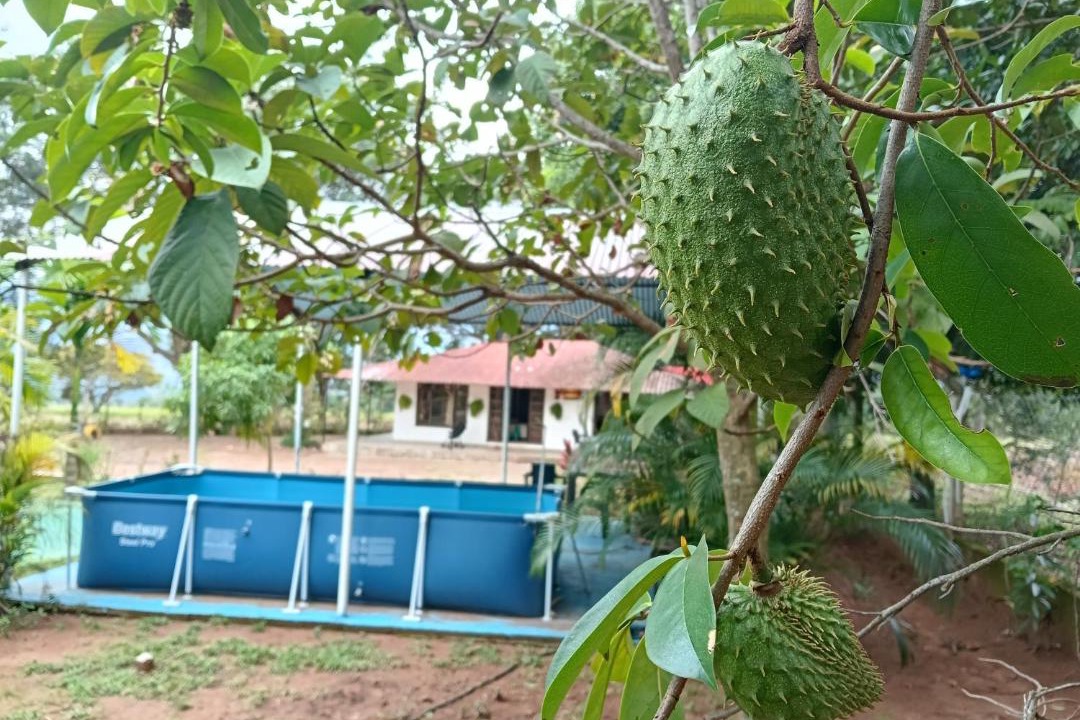 Photo of Others in Tauramena