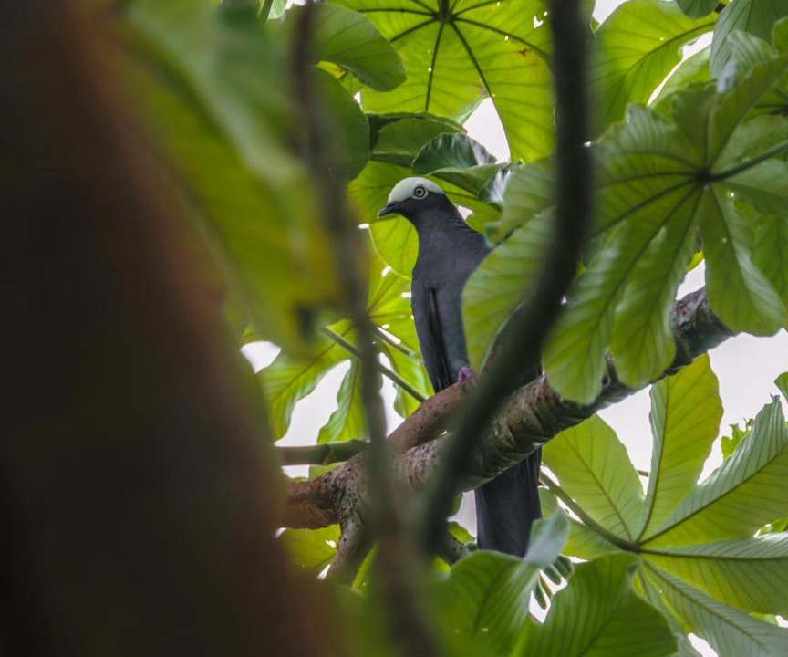 Photo of Others in Isla Fuerte