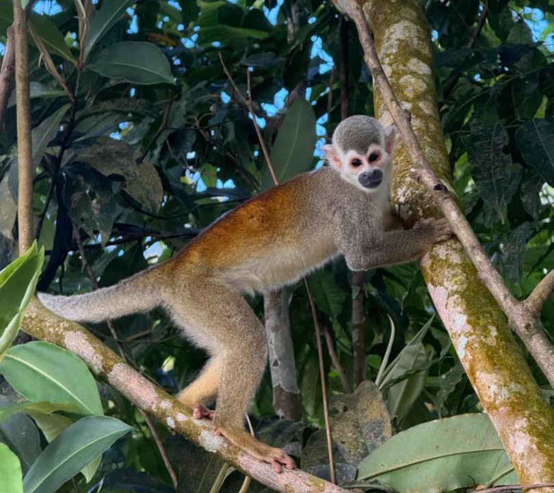 Photo of Others in Acacias