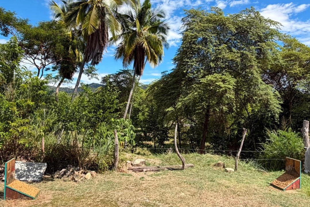 Photo of Others in Tocaima
