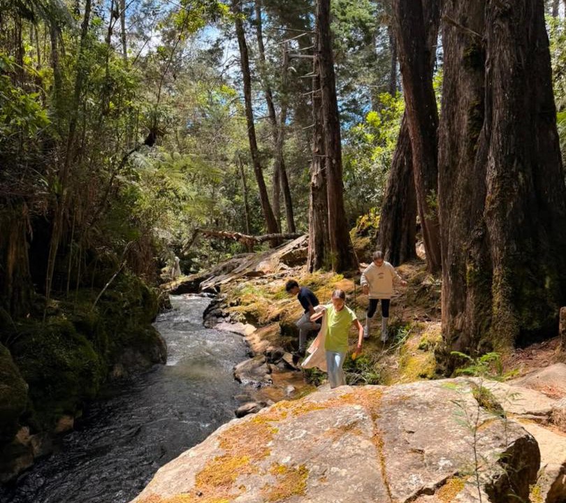 Photo of Others in Guarne
