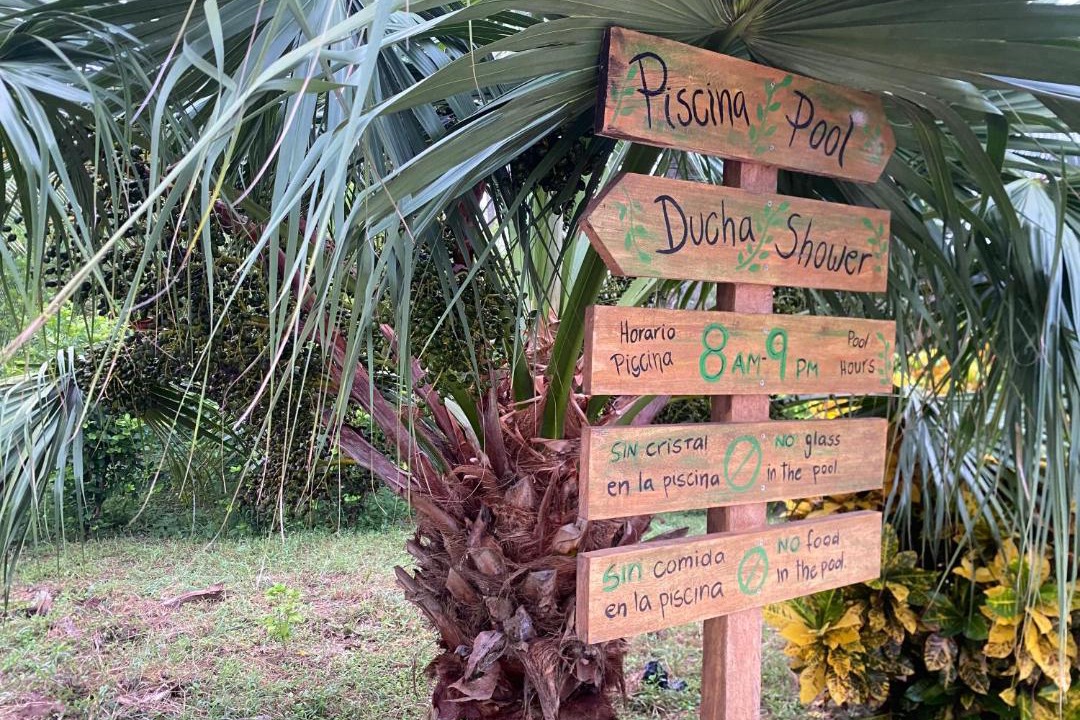 Photo of Others in San Onofre