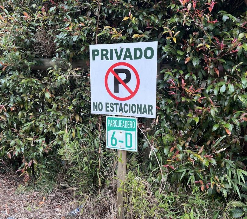 Photo of Others in El Rosario