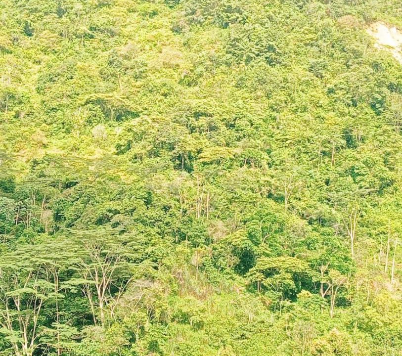 Photo of Others in Restrepo