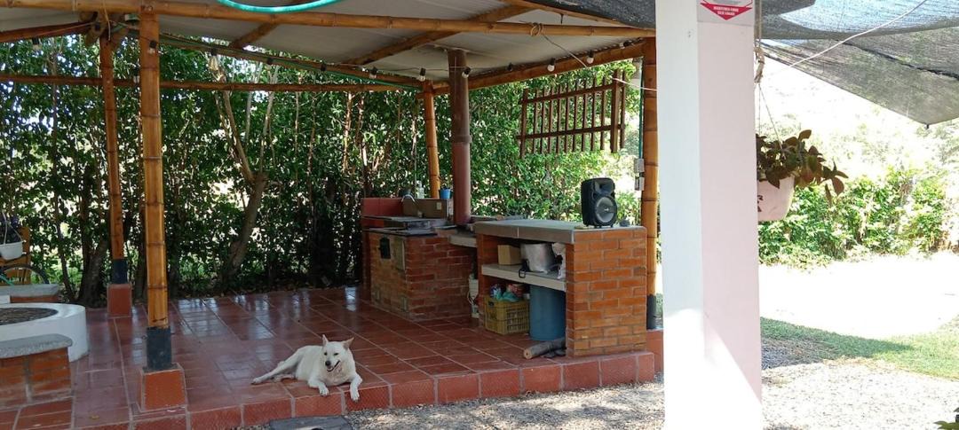 Photo of Others in San Luis