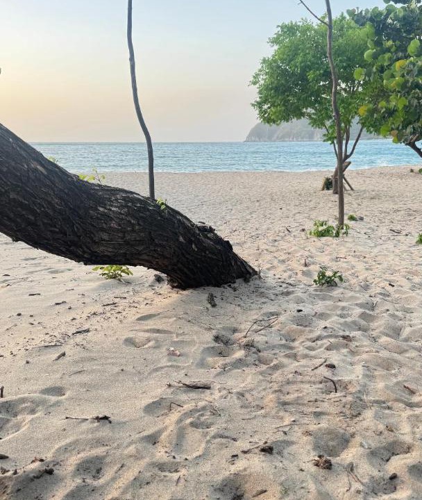 Photo of Others in Santa Marta