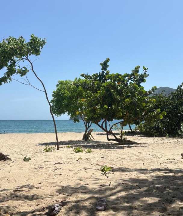 Photo of Others in Santa Marta