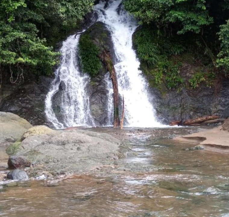 Photo of Others in El Valle