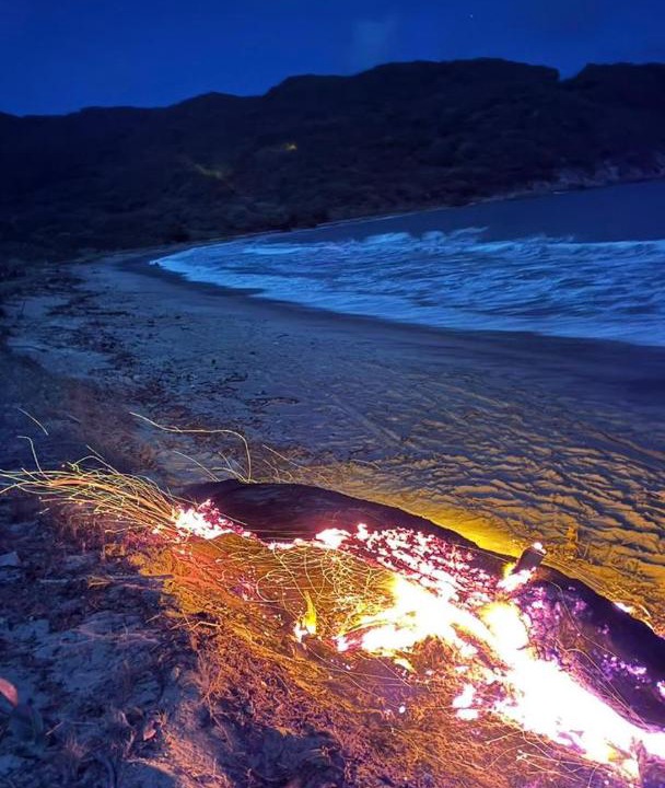 Photo of Others in Santa Marta