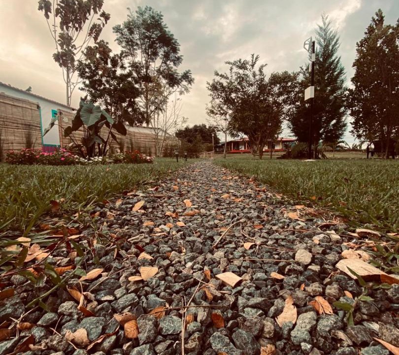 Photo of Others in Pereira