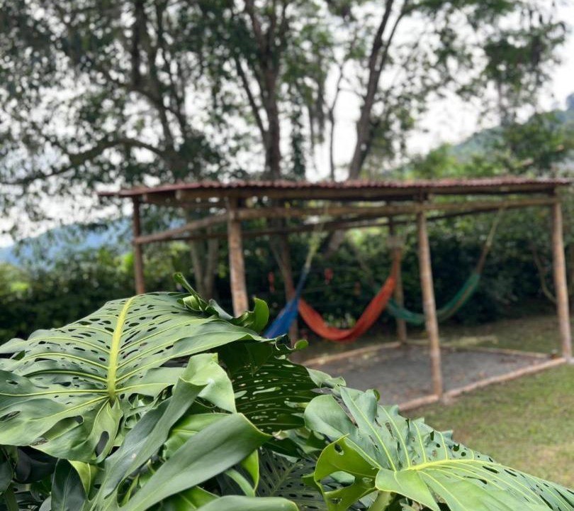 Photo of Others in Pereira