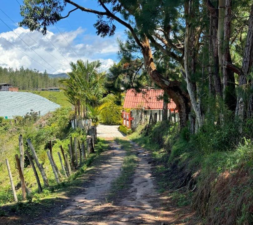 Photo of Others in Guatape