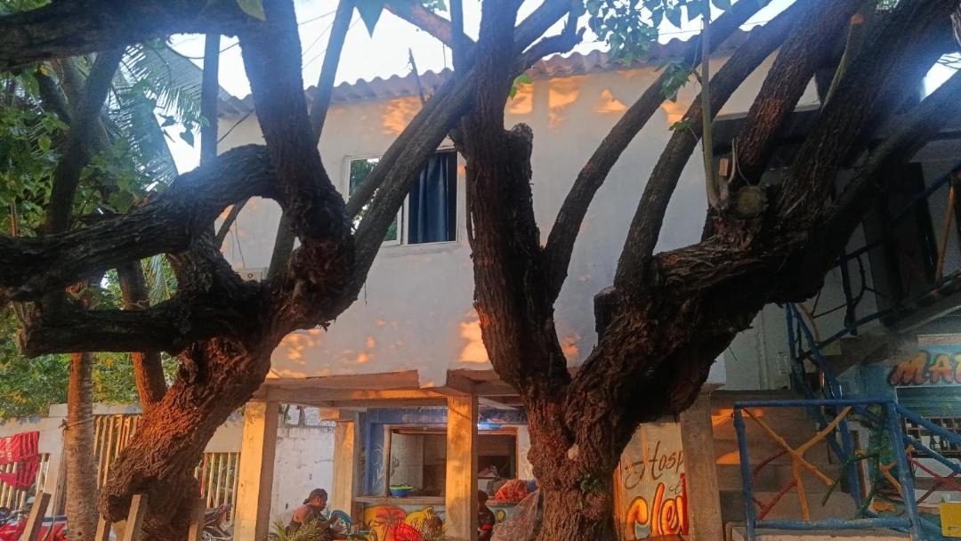 Photo of Others in Rincon