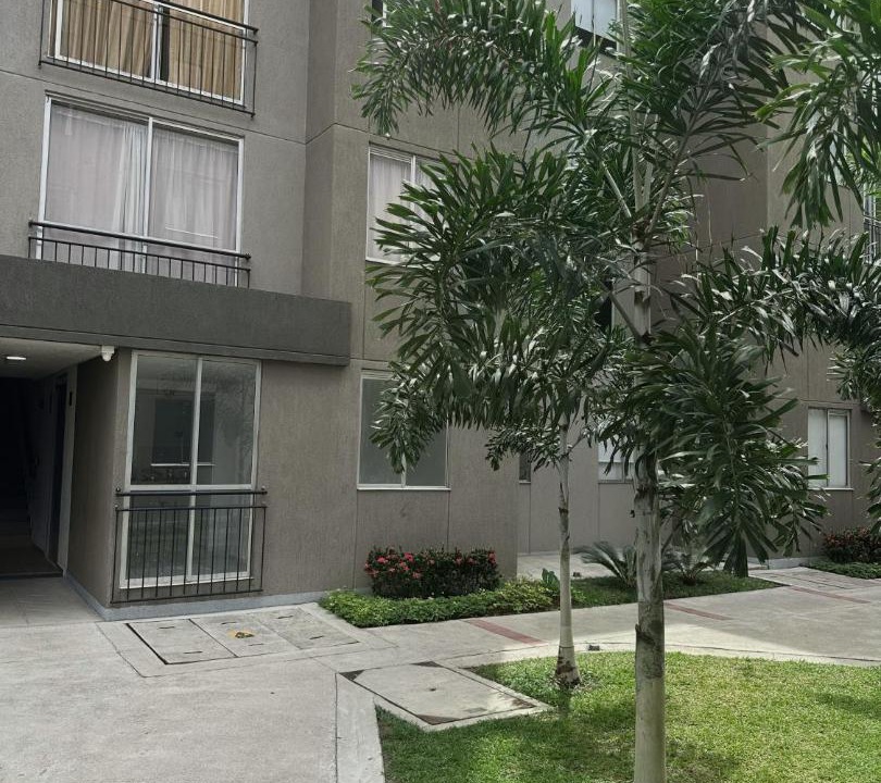 Photo of Others in Ibague