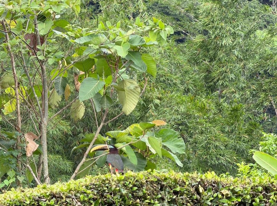 Photo of Others in Acacias