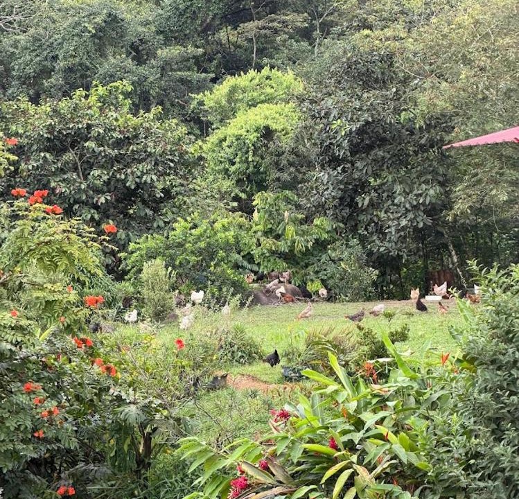 Photo of Others in Acacias