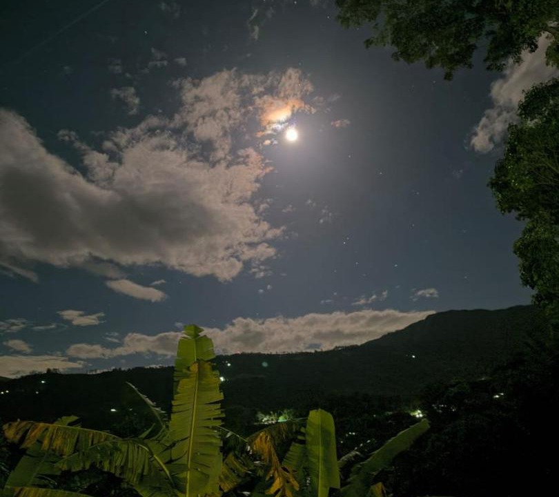 Photo of Others in La Vega