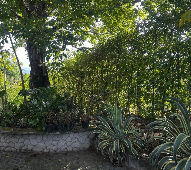 Photo of Others in Sopetran