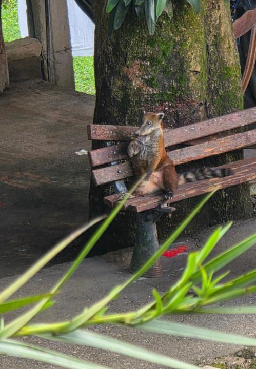 Photo of Others in Acacias