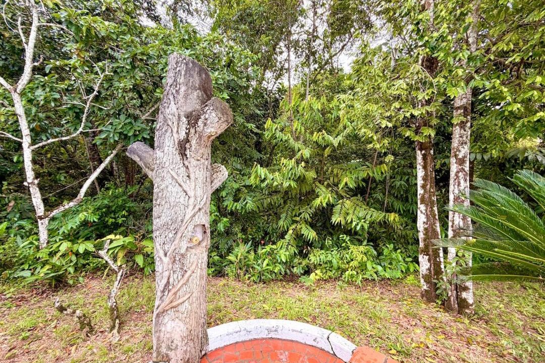 Photo of Others in Sonson