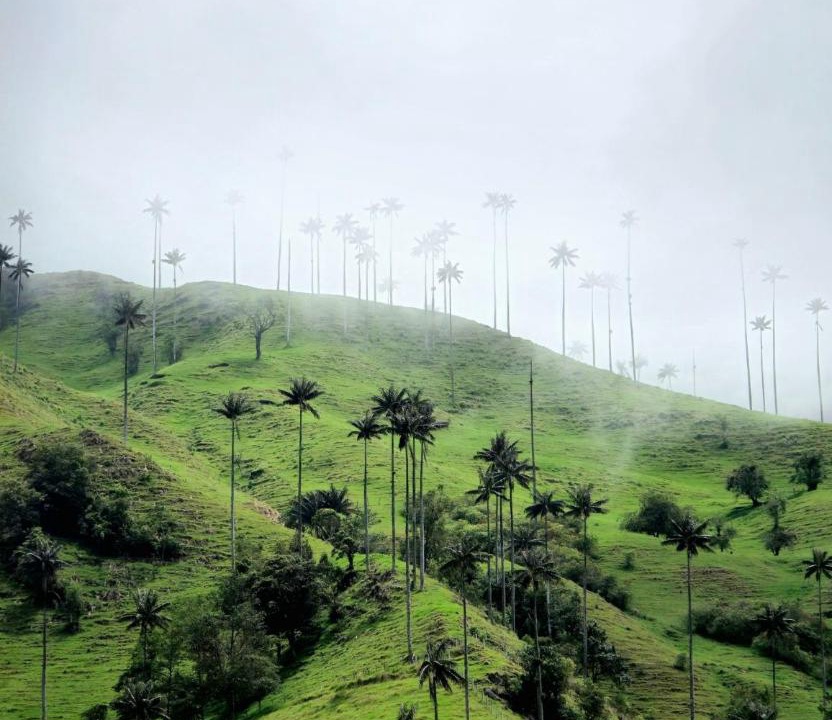 Photo of Others in La Tebaida