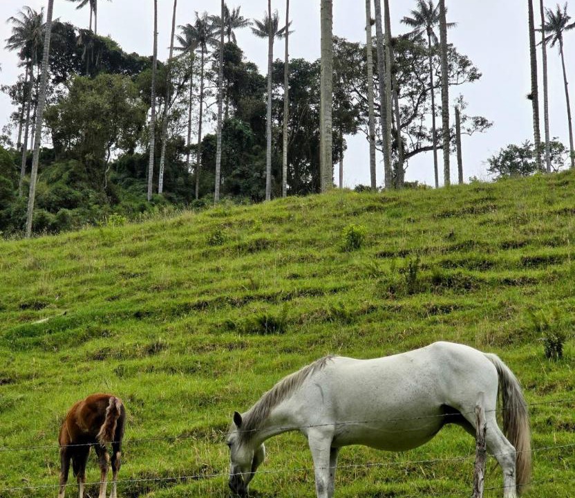 Photo of Others in La Tebaida