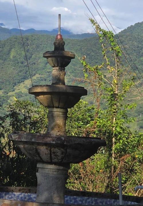 Photo of Others in Acacias